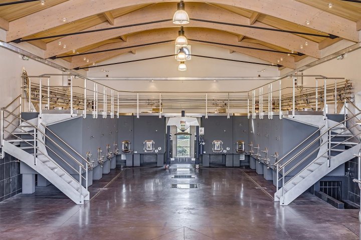 Bordeaux Visit & Tasting Experience