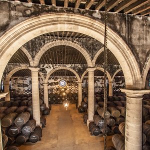 Cádiz Cathedrals of Wine Experience