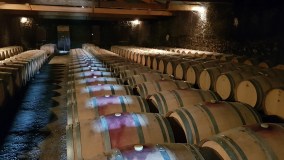 Bordeaux Wine Tasting & Platters Experience