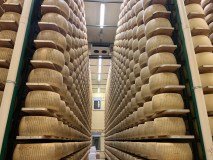 Parma Guided Dairy Tour & Tasting Experience