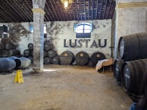 Cádiz Cathedrals of Wine Experience