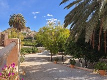 Murcia Citrus Tour Experience