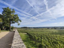 Bordeaux Domaine Tour & Wine Tasting Experience
