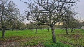 Blend Your Cider Experience