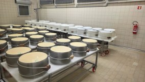 Parma Guided Dairy Tour & Tasting Experience