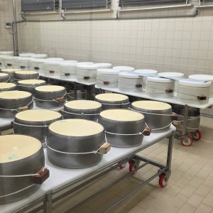 Parma Guided Dairy Tour & Tasting Experience