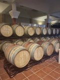 Ronda Wine Tour & Tasting Experience