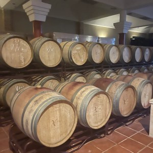 Ronda Wine Tour & Tasting Experience