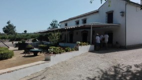 Córdoba Wine Tasting Experience