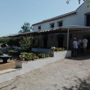 Córdoba Wine Tasting Experience