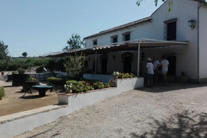 Córdoba Wine Tasting Experience