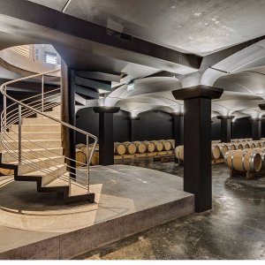 Bordeaux Visit & Tasting Experience