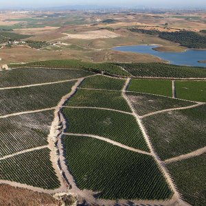 Jerez Wine Visit Experience