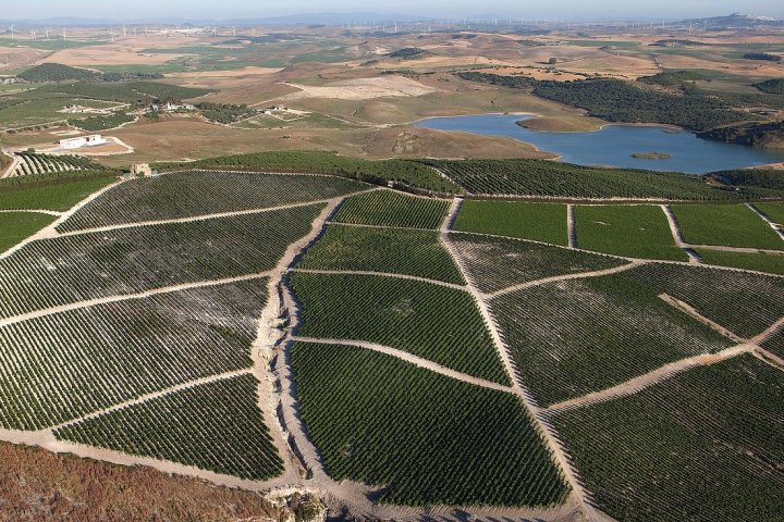 Jerez Wine Visit Experience