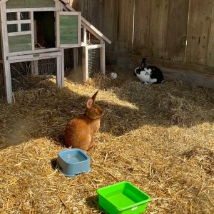 Brittany Guided Farm Tour Experience