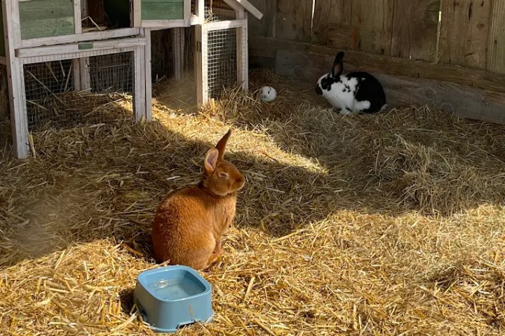 Brittany Guided Farm Tour Experience