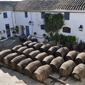 Córdoba Land & Wines Experience