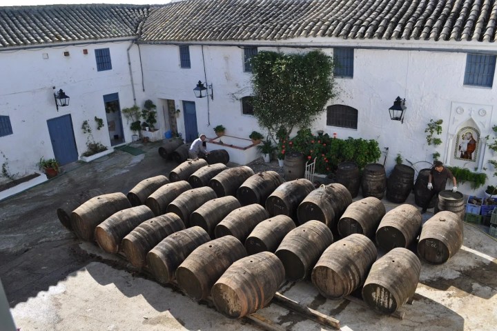 Córdoba Land & Wines Experience