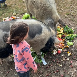 Brittany Guided Farm Tour Experience