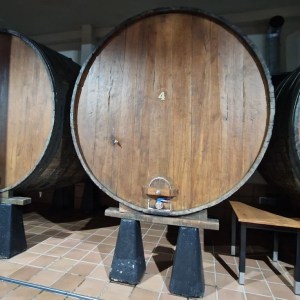 San Sebastian Cider Tasting & Lunch Experience