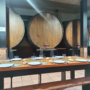 San Sebastian Cider Tasting & Lunch Experience