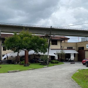 San Sebastian Cider Tasting & Lunch Experience