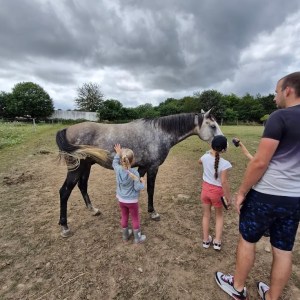 Brittany Guided Farm Tour Experience
