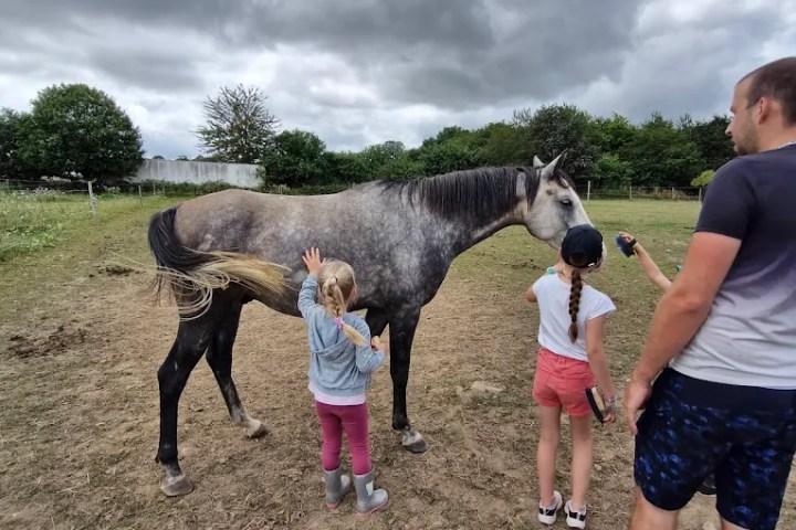 Brittany Guided Farm Tour Experience