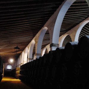 Cádiz Cathedrals of Wine Experience