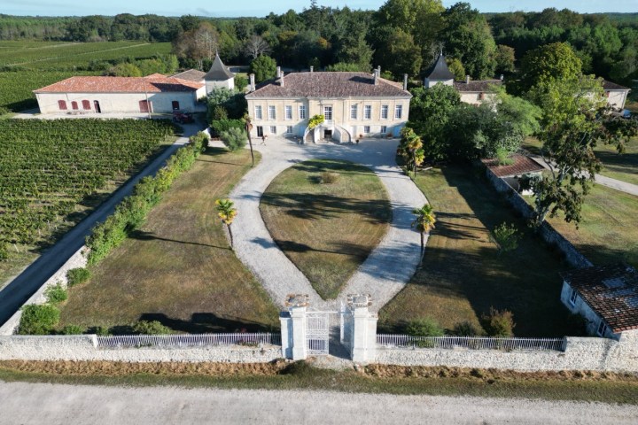 Bordeaux Wine Tasting & Platters Experience