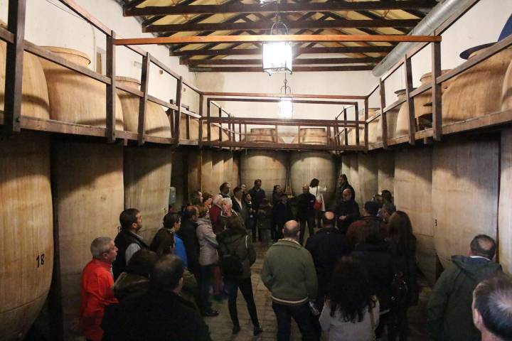 Valdepeñas Wine Tasting Experience