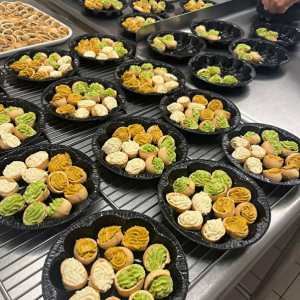 Burgundy Snail Farm Experience