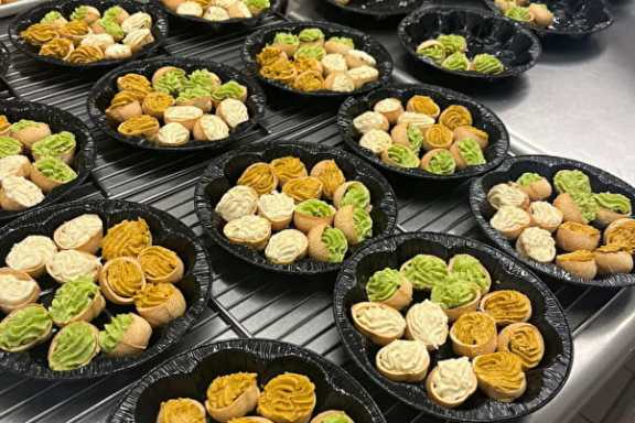 Burgundy Snail Farm Experience