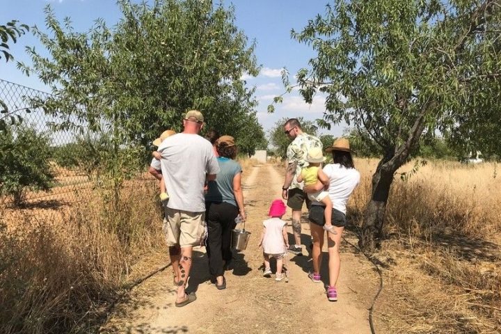 Toledo Eco Tour Experience