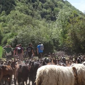 Aragon Animal Farm Experience