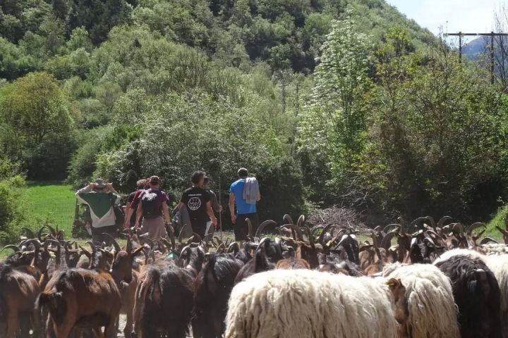 Aragon Animal Farm Experience