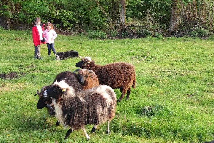 Asturias Authentic Farm Experience