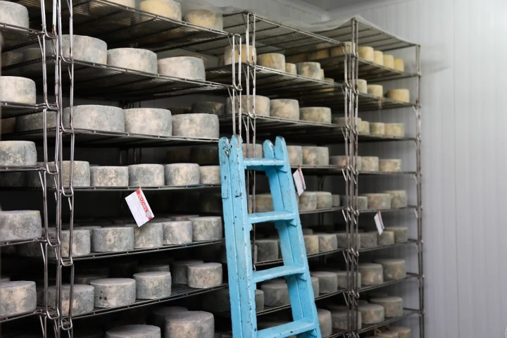 Navarra Cheese Experience