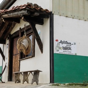 Navarra Cheese Experience