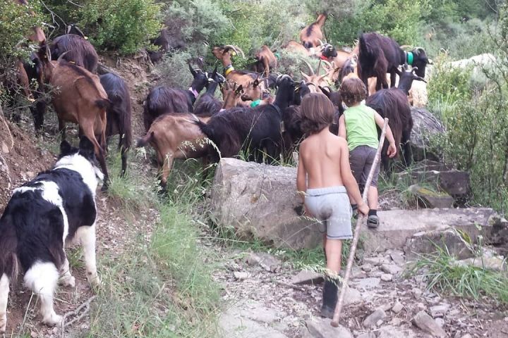 Aragon Animal Farm Experience