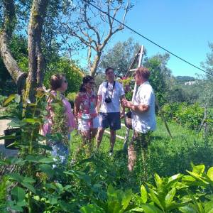 Sorrento Cooking Class Experience