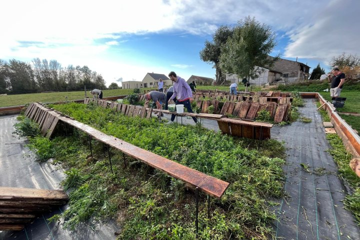 Burgundy Snail Farm Experience