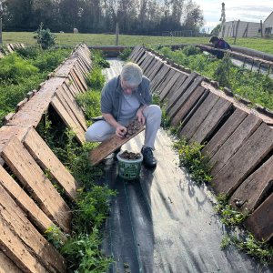 Burgundy Snail Farm Experience