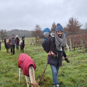Loire Discovery Walk with Llamas & Alpacas Experience
