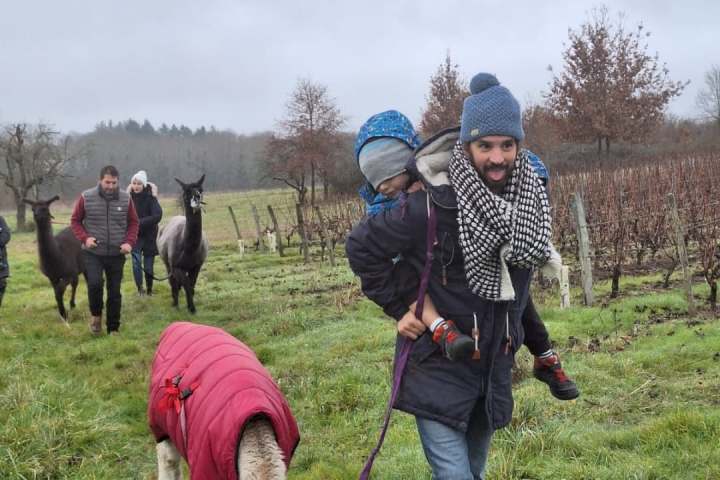 Loire Discovery Walk with Llamas & Alpacas Experience