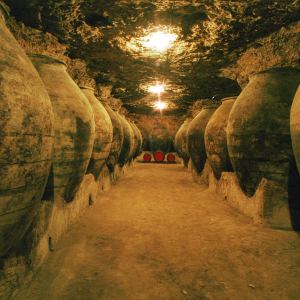 Valdepeñas Wine Tasting Experience