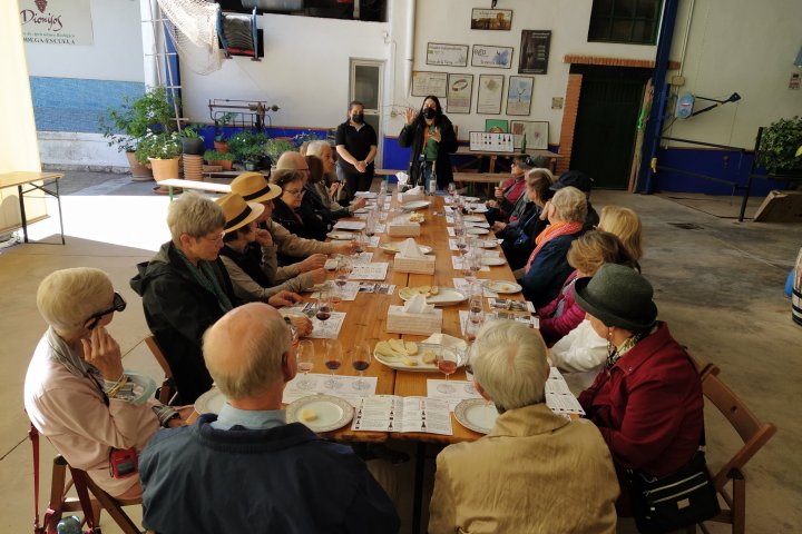 Valdepeñas Wine Tasting Experience