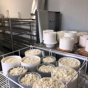 Navarra Cheese Experience