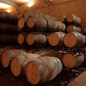 Aragon Guided Tour & Wine Tasting Experience