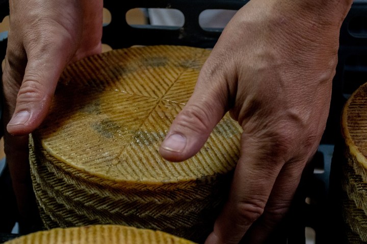 Castilla-La Mancha Manchego Cheese Experience